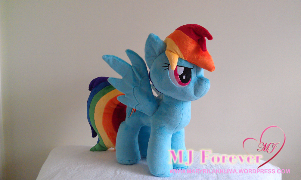 Rainbow Dash plushie by Burzurk