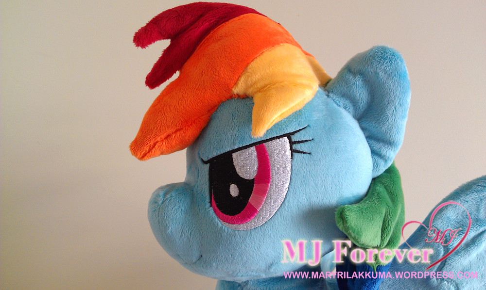 Rainbow Dash plushie by Burzurk