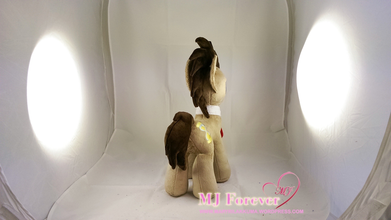 Dr Whooves plushie by meeee!!!!!